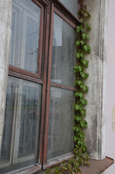 Similar image 21659821