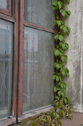 Similar image 21659822