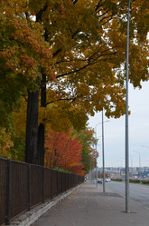 Similar image 21659823