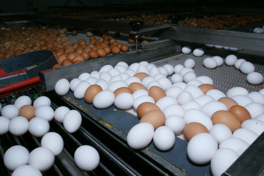 Similar image 21662402