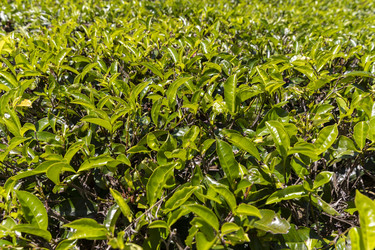 Similar image 21662403