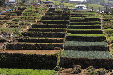 Similar image 21662405