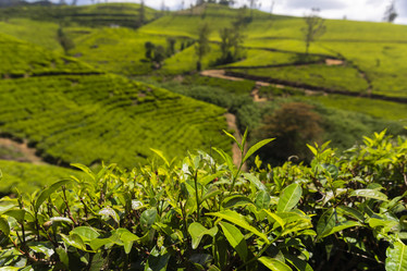 Similar image 21662407