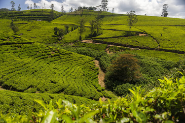 Similar image 21662411