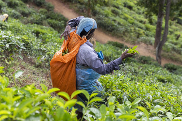 Similar image 21662413