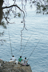 Similar image 21662751