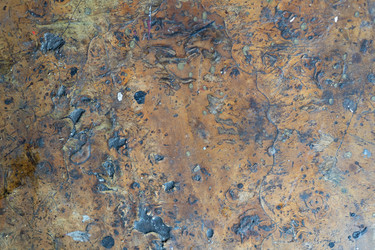 Similar image 21659825