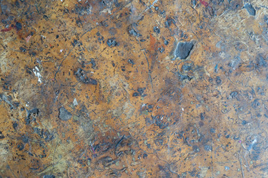 Similar image 21659830