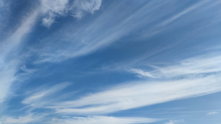 Similar image 21659834