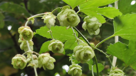 Similar image 21659839