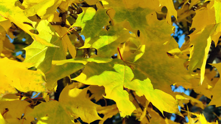 Similar image 21659842