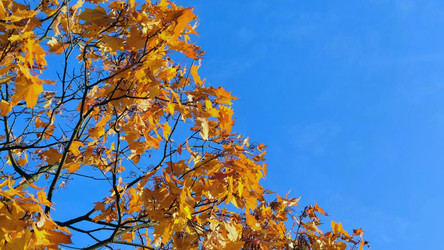 Similar image 21659843