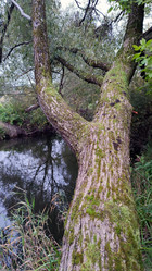 Similar image 21659844