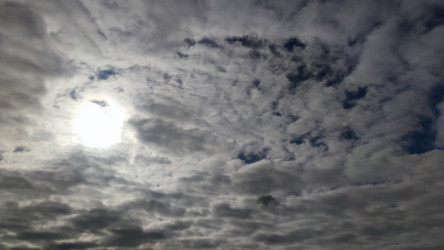 Similar image 21659849