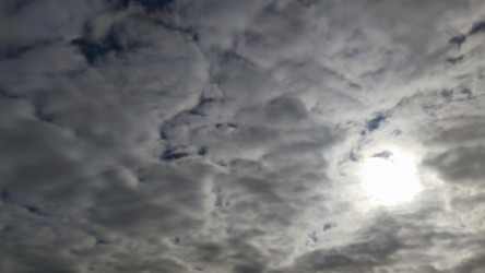 Similar image 21659850