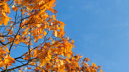 Similar image 21659851