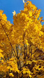 Similar image 21659852