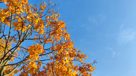 Similar image 21659853