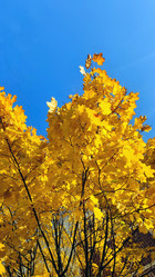 Similar image 21659854