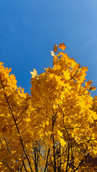 Similar image 21659855