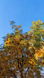 Similar image 21659856