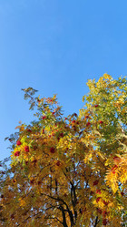 Similar image 21659857