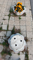 Similar image 21659870