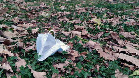 Similar image 21659872