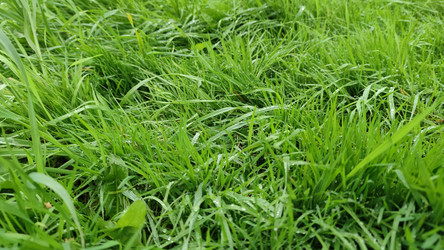 Similar image 21659873