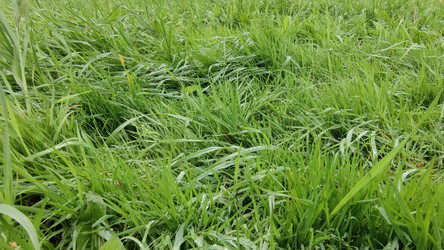 Similar image 21659874