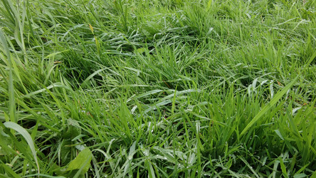 Similar image 21659875