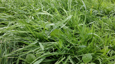 Similar image 21659876