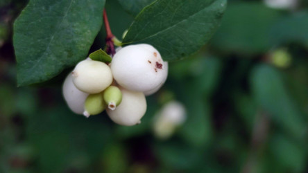 Similar image 21659878