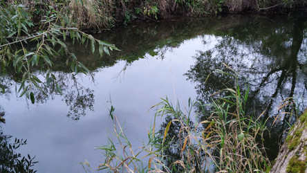 Similar image 21659880