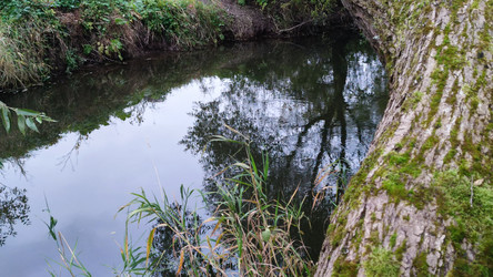 Similar image 21659881