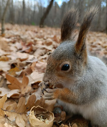 Similar image 21659628