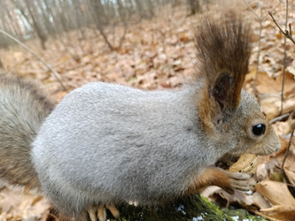 Similar image 21659629