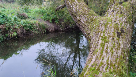 Similar image 21659882