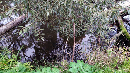 Similar image 21659883