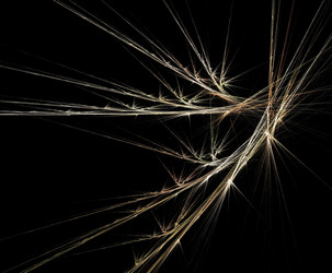 Similar image 21660391