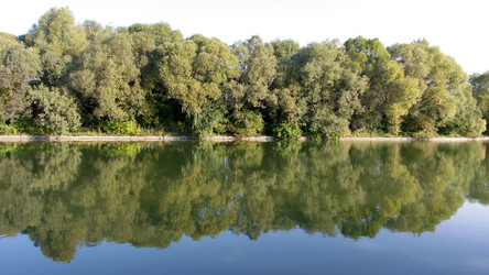 Similar image 21661732