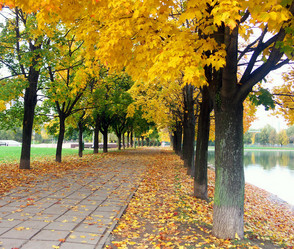 Similar image 21661735