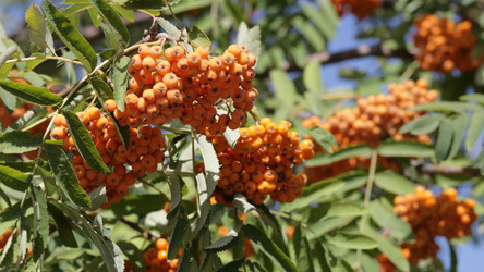 Similar image 21661748