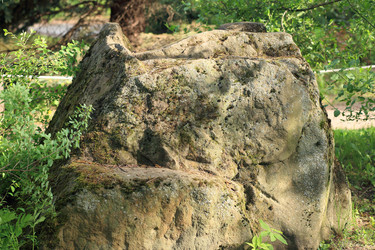 Similar image 21661749