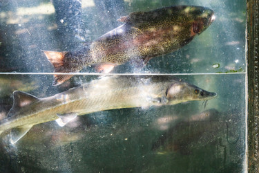 Similar image 21659458