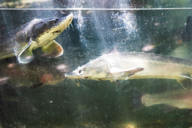 Similar image 21659460