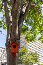 Similar image 21659467