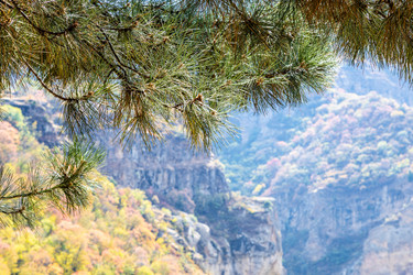 Similar image 21659471