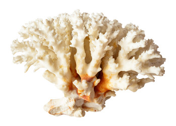 Similar image 21659478