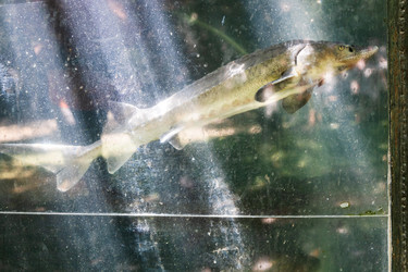 Similar image 21659518